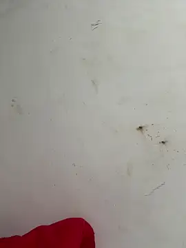 Snapshot of palomamoraid chatting on February 17, 10:27 pm palomamoraid online show from February 17, 10:27 pm