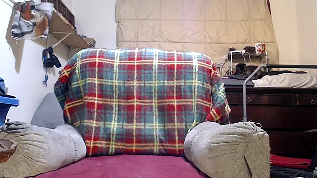 ladyscarlotta online show from October 3, 2:37 am