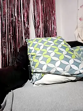 Joagorditahot online show from November 8, 11:30 pm