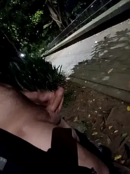 mis312 online show from February 28, 8:36 am