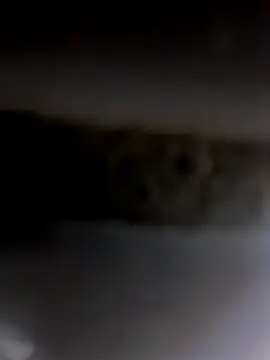 Snapshot of Godvibes chatting on November 5, 6:55 pm Godvibes online show from November 5, 6:55 pm