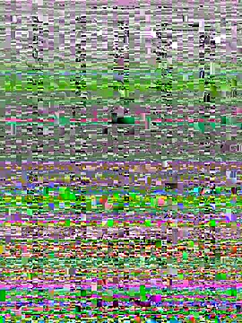 Snapshot of Wy1766 chatting on October 22, 9:24 pm Wy1766 online show from October 22, 9:24 pm