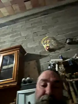 ros217 online show from November 23, 3:44 pm