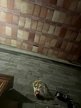 ros217 online show from January 5, 9:18 pm