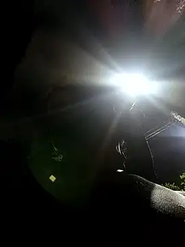 Siriss boyrag online show from March 24, 2:22 am