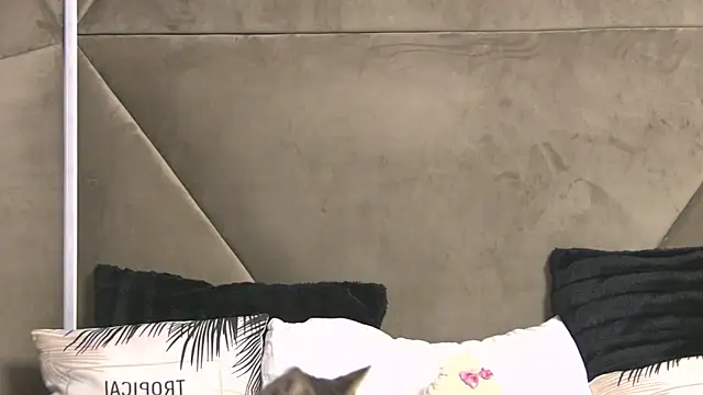 Snapshot of AishaHummer chatting on September 30, 4:57 pm AishaHummer online show from September 30, 4:57 pm
