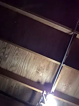 Snapshot of jorwee chatting on November 3, 10:57 pm jorwee online show from November 3, 10:57 pm