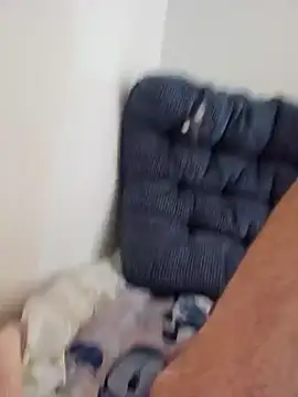 Snapshot of jorwee chatting on December 3, 2:33 pm jorwee online show from December 3, 2:33 pm