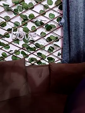 Snapshot of Bold-Cat chatting on February 7, 6:02 pm Bold-Cat online show from February 7, 6:02 pm