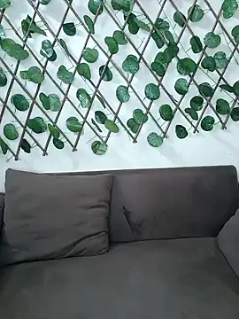 Snapshot of Bold-Cat chatting on November 20, 4:51 pm Bold-Cat online show from November 20, 4:51 pm