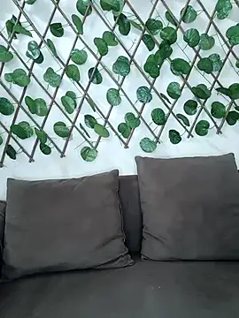 Snapshot of Bold-Cat chatting on November 8, 5:27 pm Bold-Cat online show from November 8, 5:27 pm