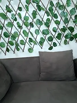 Snapshot of Bold-Cat chatting on October 15, 5:43 pm Bold-Cat online show from October 15, 5:43 pm