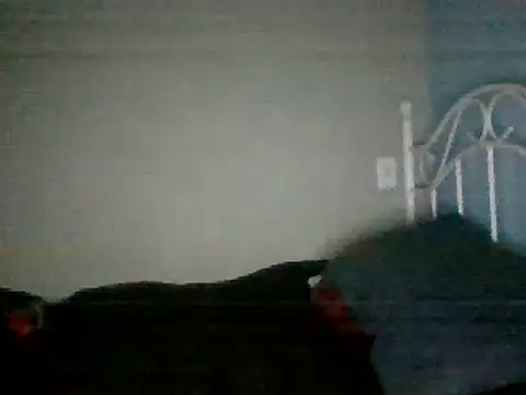 SmokingSloth online show from March 16, 8:21 am