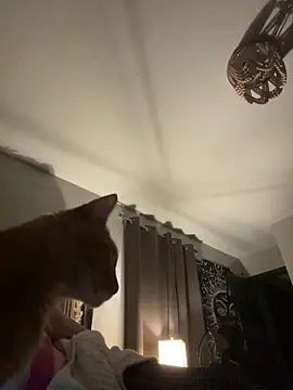 SmokingSloth online show from November 13, 6:17 am