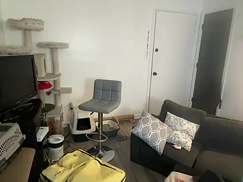 SpunCandy online show from June 8, 3:01 pm