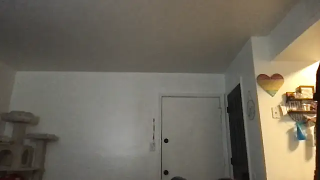 SpunCandy online show from January 17, 3:15 pm