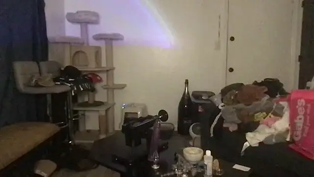 SpunCandy online show from March 21, 10:24 pm