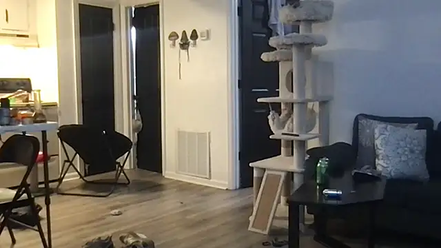 Snapshot of SpunCandy chatting on October 1, 4:28 am SpunCandy online show from October 1, 4:28 am