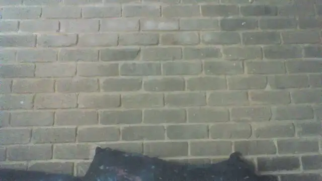 Snapshot of EksJouneMwah chatting on September 30, 9:37 am EksJouneMwah online show from September 30, 9:37 am