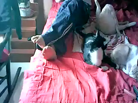 Snapshot of 2mgars chatting on September 22, 8:48 pm 2mgars online show from September 22, 8:48 pm