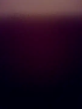 Snapshot of ZeFFirky chatting on December 4, 9:14 pm ZeFFirky online show from December 4, 9:14 pm