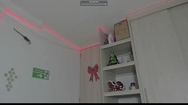 Snapshot of _diegsz_ chatting on January 10, 9:55 am diegsz online show from January 10, 9:55 am