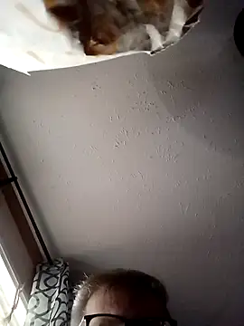 Snapshot of J83560Jason chatting on September 14, 10:54 pm J83560Jason online show from September 14, 10:54 pm