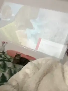 AnnyCherry  online show from March 6, 12:38 am