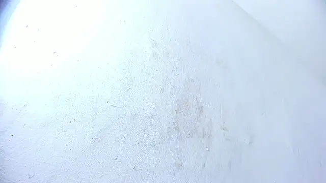 brant garciabbc online show from February 1, 10:01 pm