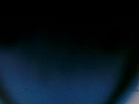 tigerrtiger online show from November 24, 8:31 pm