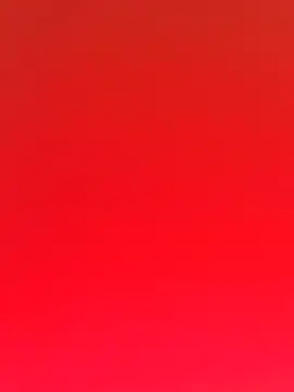 Fun Everywhere online show from February 25, 9:15 pm