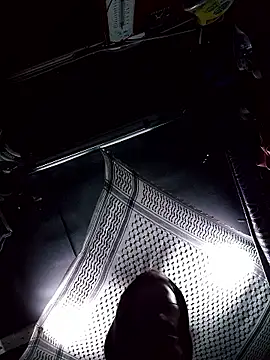 Snapshot of TRebelG chatting on January 6, 11:09 pm TRebelG online show from January 6, 11:09 pm