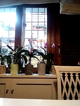 Frabox65 online show from March 27, 6:00 am