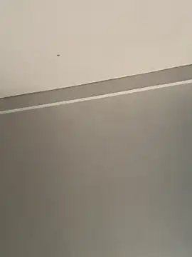 calleaaaa online show from October 24, 9:19 am