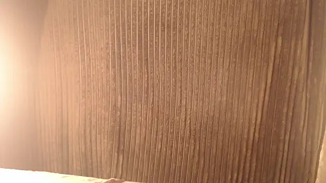 1BECHA1 online show from November 12, 5:11 am