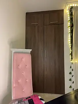 lina pink online show from February 17, 2:53 am