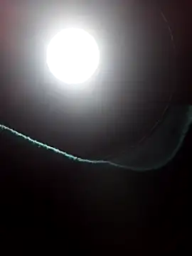 dangerman94 online show from March 22, 6:15 am