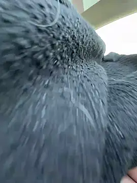 Giuliana baby online show from March 21, 9:36 am