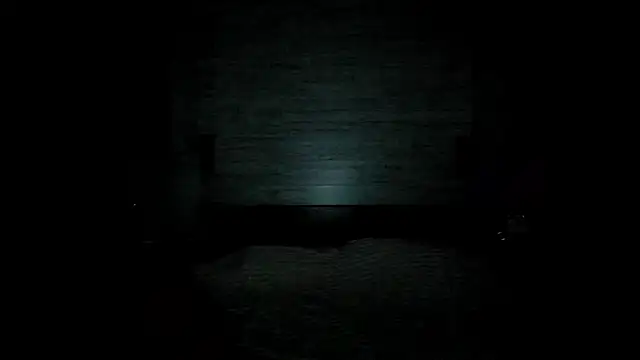 Chris Brunnet online show from February 5, 2:13 pm