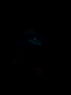 yuoedgggkhjghnlgjgd online show from June 7, 3:12 am