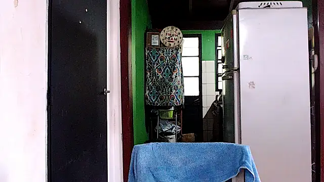 SusiDream online show from March 21, 8:18 pm