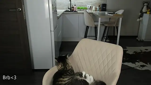 nilliluv online show from March 19, 11:16 pm