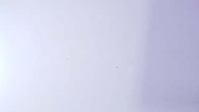 nicol f online show from March 5, 3:14 am