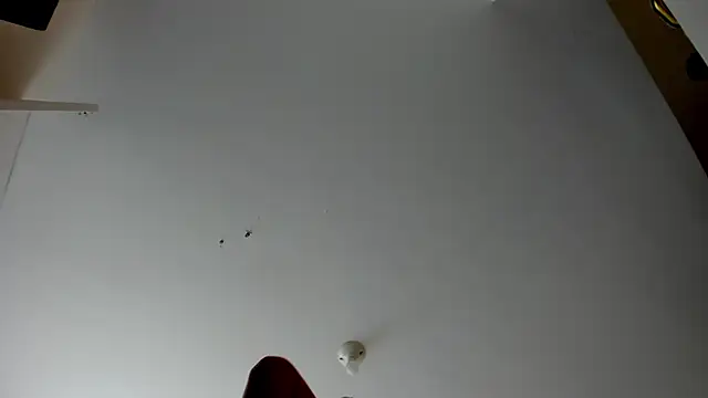 Snapshot of evely_coelloo chatting on November 5, 4:10 pm evely coelloo online show from November 5, 4:10 pm