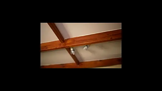 Bellis Perenis online show from February 26, 9:31 am