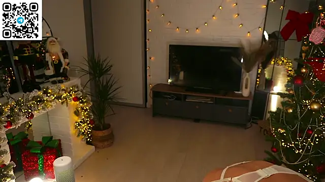 Heidi11 online show from December 20, 3:15 pm