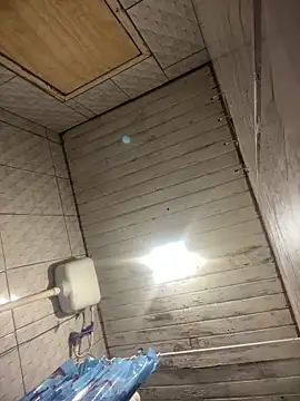 Vih222 online show from March 27, 3:04 am