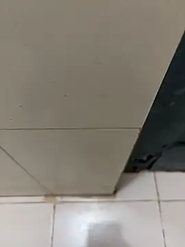 Snapshot of nangakings chatting on December 17, 3:17 pm nangakings online show from December 17, 3:17 pm