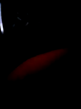 pascalino100 online show from April 4, 12:01 pm