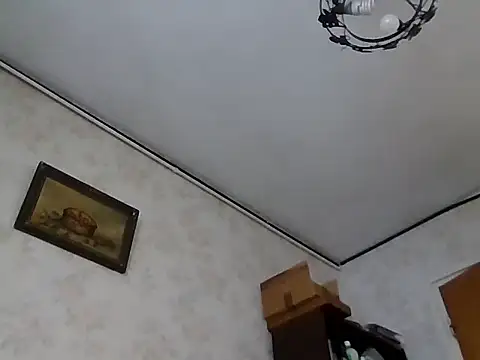 mariusica1xh online show from November 1, 11:48 am